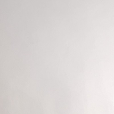 P6877B - Polyester Argent Brillant 2